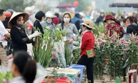 Bốn ca dương tính test nhanh ở chợ hoa Mê Linh không mắc COVID-19