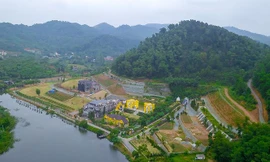 Chủ tịch Hà Nội: Xử lý dứt điểm vi phạm đất rừng tại Sóc Sơn