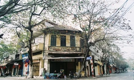 Khu phố cổ Hà Nội không được xây nhà quá 4 tầng