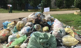 Cận cảnh hàng nghìn tấn rác thải hành hạ người dân Sơn Tây