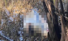 Cô gái bị giết, phi tang xác xuống sông Hàm Luông