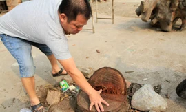 Chặt cây...đòi vỉa hè ở Thạch Thất: Không theo luật lệ nào?