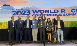 Thông tin bất ngờ vụ tranh cãi gạo ST25 đoạt giải ngon nhất thế giới 