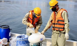 Gia hạn thanh tra việc sử dụng chế phẩm làm sạch hồ ở Hà Nội