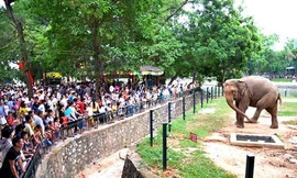 Vườn thú Hà Nội