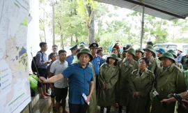 Bí thư Hà Nội Bùi Thị Minh Hoài thị sát vùng rốn lũ huyện Chương Mỹ