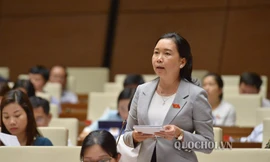 ĐBQH: Bịt lỗ hổng chuyển nhượng đất cho người nước ngoài