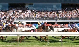 Hàn Quốc mong sớm triển khai dự án trường đua ngựa