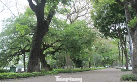 Công an chốt trực ngăn người dân tập thể dục quanh Hồ Gươm