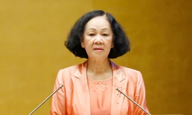 Trung ương đồng ý để bà Trương Thị Mai thôi chức Uỷ viên Bộ Chính trị, Uỷ viên Trung ương Đảng