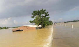 Nước lũ ngập nhiều ngôi nhà sau sự cố đê Bùi 2 ở xã Hoàng Văn Thụ (Chương Mỹ, Hà Nội)