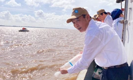 Thả 1,5 triệu con giống tôm, cua, cá về tự nhiên