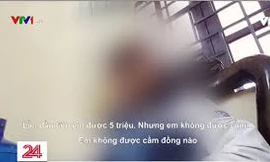 Chủ tịch Hà Nội yêu cầu điều tra về thông tin đường dây mua bán trinh