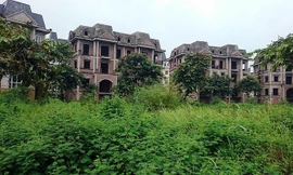 Hà Nội: Chi tiết 29 dự án bị kiến nghị thu hồi vì chậm đưa đất vào sử dụng