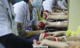 Khởi động chuỗi hiến máu Chủ nhật Đỏ ở Thái Bình