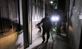 Một chú chó thả rông bị bắt ở quận Thanh Xuân (Hà Nội). Ảnh: Trường Phong