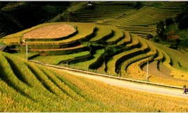 Tháng 9, lên Mù Cang Chải nhảy dù ngắm ruộng bậc thang