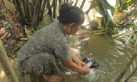 'Khát' nước sạch ở miền Tây sông nước