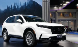 Loạt xe gầm cao được giảm giá mạnh trong tháng 7