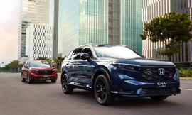 Nhu cầu xe điện hóa của người Việt tăng mạnh