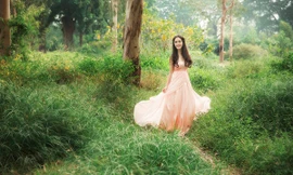 Hoàng Anh hóa công chúa lạc trong rừng