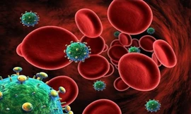 Thêm bé sơ sinh mắc HIV được chữa khỏi