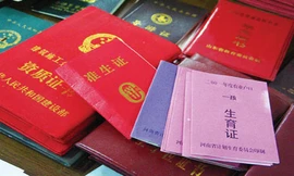 Muốn sinh cháu, phải trình giấy báo tử của ông