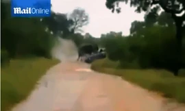 Kinh sợ cảnh voi dữ hất tung xe ôtô