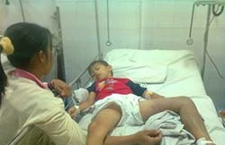 Trèo lên hái mận bất ngờ bị rắn lục cắn nguy kịch