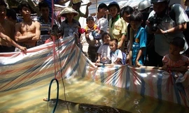 Dân ùn ùn đi xem con cá gần 30kg