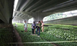 Lực lượng công an đã có mặt tại hiện trường xảy ra vụ việc. Ảnh: Thanh Hà