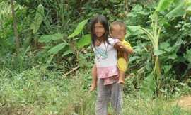 Bi kịch khó tin từ cuộc sống loạn luân giữa rừng