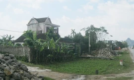  Nhiều thập kỷ qua, xã Diễn Nguyên không có bóng dáng của một con chó nào.