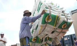 Việt Nam thắng thầu 800.000 tấn gạo