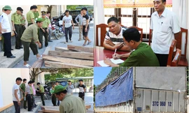 Xác minh bọc tiền 100 triệu đồng kiểm lâm vứt ở gốc cây