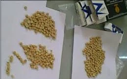 Hai người Lào mang 5.000 viên ma túy vào Việt Nam