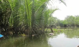 Hiện trường vụ việc