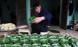 Bánh chưng là một trong những mặt hàng được xuất khẩu nhiều vào dịp Tết. Ảnh: PV