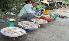 Mực đông lạnh giá rẻ bất ngờ được bán trên lề đường Lê Văn Lương (huyện Nhà Bè, TP HCM) khi đã sơ chế.