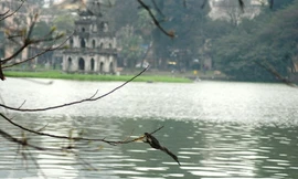 Cận cảnh cò 'lạ' xuất hiện ở Hồ Gươm bắt cá