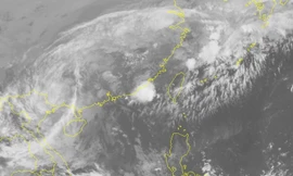 Bão số 11 suy yếu thành áp thấp nhiệt đới, gió giật cấp 8