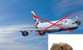 Hoãn bay nhiều giờ chỉ vì một ... con chuột