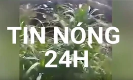 Tin nóng 24H: Lộ video được cho là ghi lại cảnh sát hại ông Kim Jong-nam