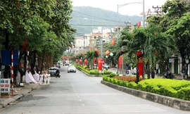 Thành phố Cẩm Phả sẽ thực hiện thí điểm dừng đỗ xe ô tô.