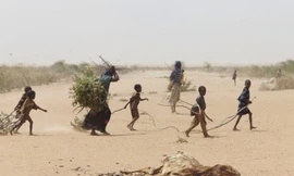 Hạn hán nghiêm trọng đang giết dần Somalia. Ảnh: Twitter