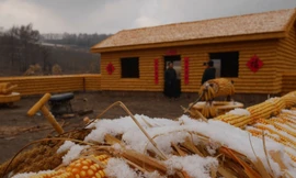 Tận thấy ngôi nhà vàng rực làm từ 20.000 bắp ngô