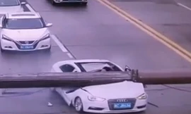 Cần trục khổng lồ đè bẹp xe ôtô, tài xế sống sót thần kỳ