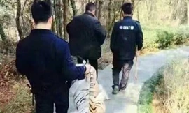 Huy động cảnh sát đặc biệt để bắt... thú nhồi bông