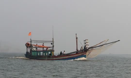 Ngư dân tử vong vì rơi xuống biển khi đi vệ sinh