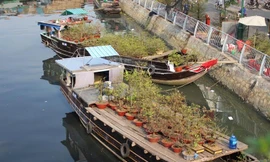 Nằm ven kênh Tàu Hủ, chợ hoa bến Bình Đông được xem là chợ hoa trên sông lâu đời nhất Sài Gòn. Đây là nơi tập kết của phần lớn thuyền hoa ở các tỉnh miền Tây. 